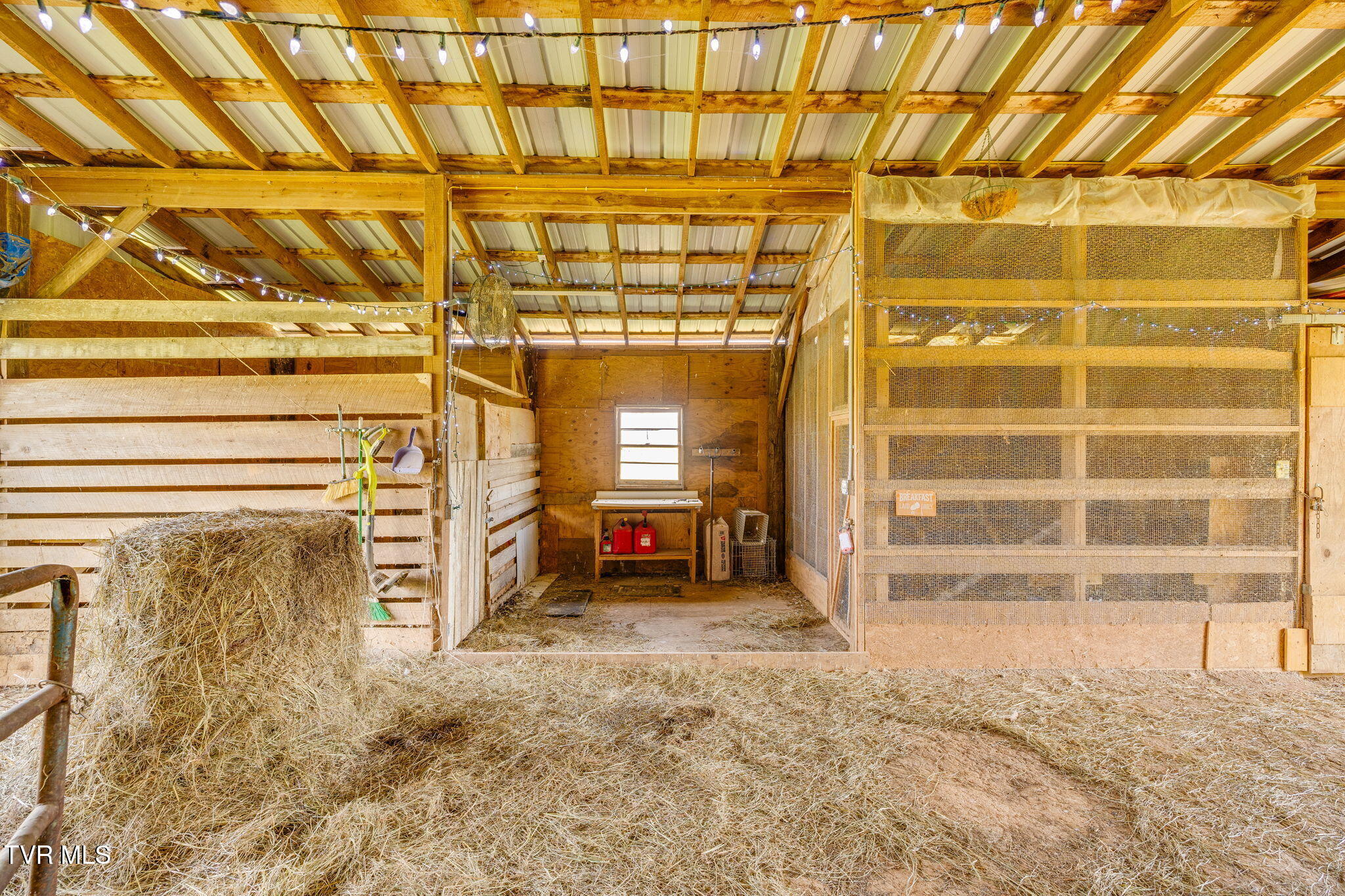 1005 Old Snapps Ferry Road Chuckey, TN 37641 - Photo 42 of 51 339