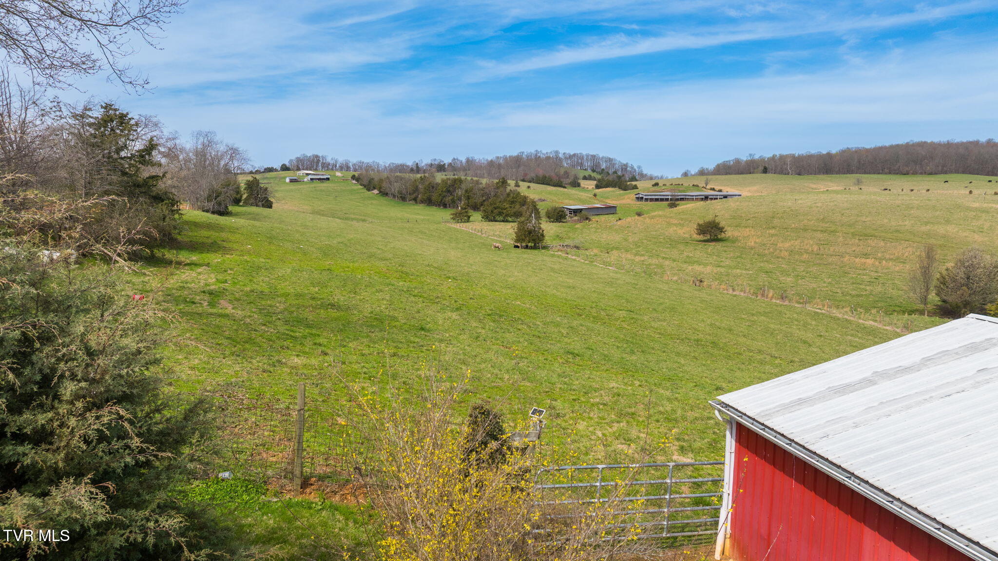 1005 Old Snapps Ferry Road Chuckey, TN 37641 - Photo 43 of 51 343