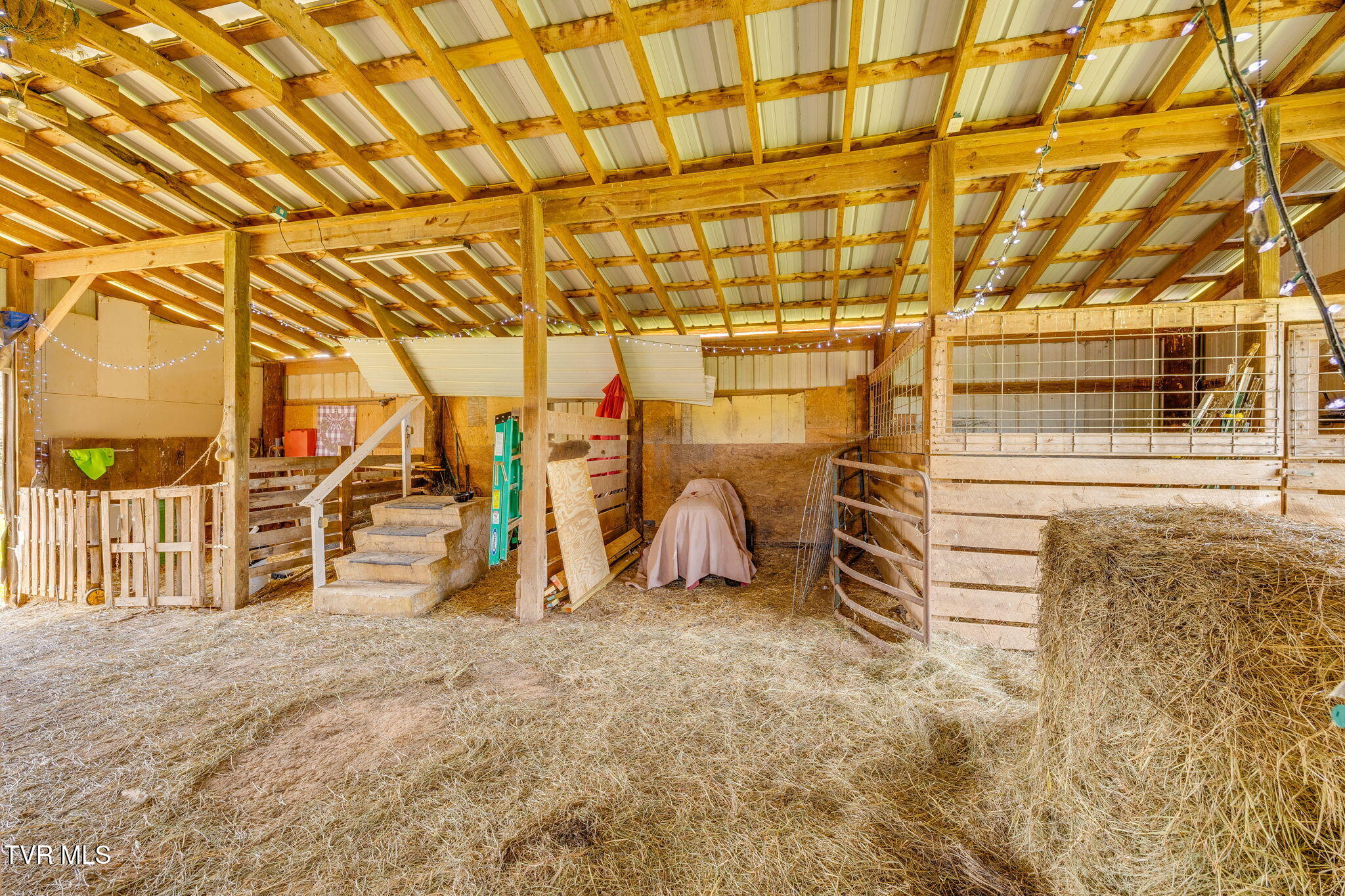 1005 Old Snapps Ferry Road Chuckey, TN 37641 - Photo 44 of 51 341