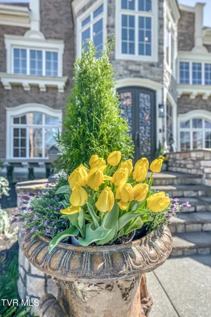 $3,420,000 | 1128 Mountain Vista Drive, Bristol, TN 37620