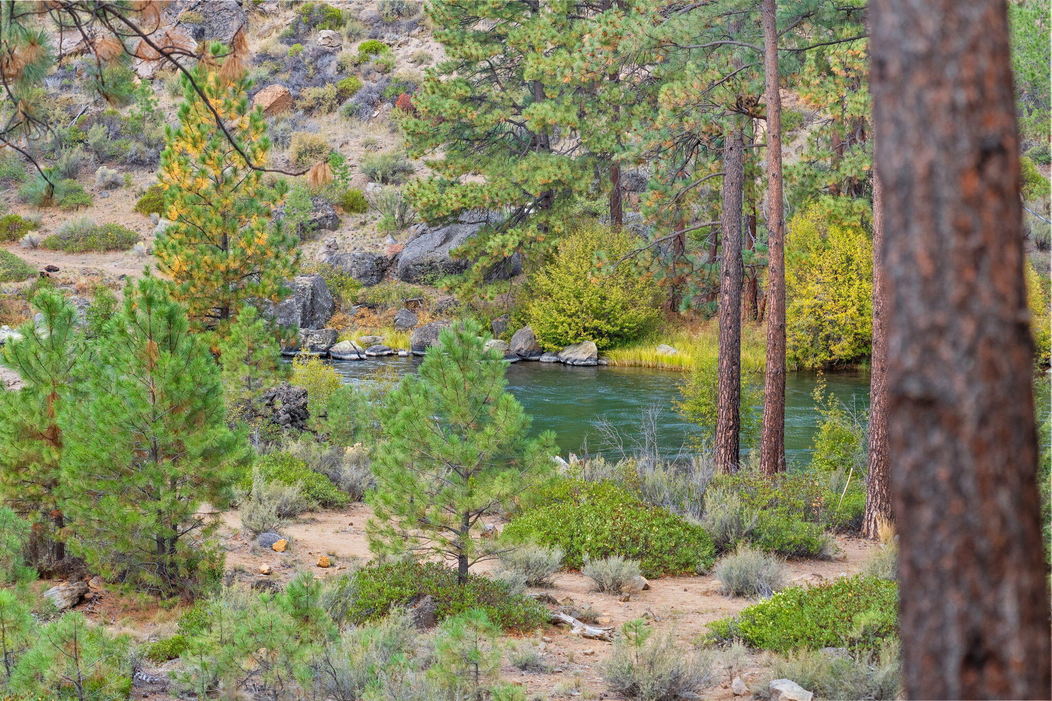 60882 Southwest Headwaters Loop Bend, OR 97702 - Photo 100 of 102 52-web-or-mls-Riley Visuals-52