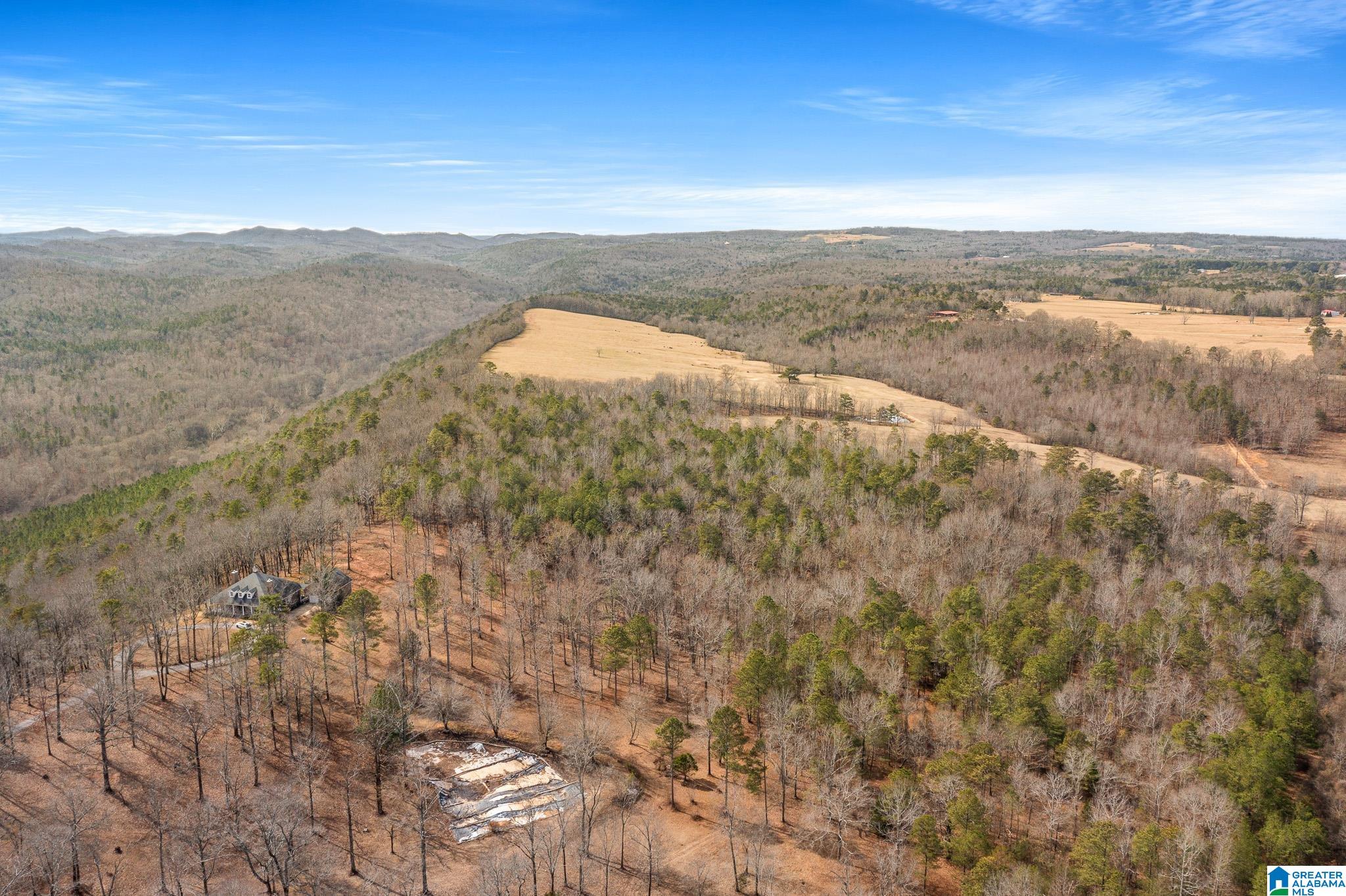 575 Mountain View Lane Springville, AL 35146 - Photo 69 of 84