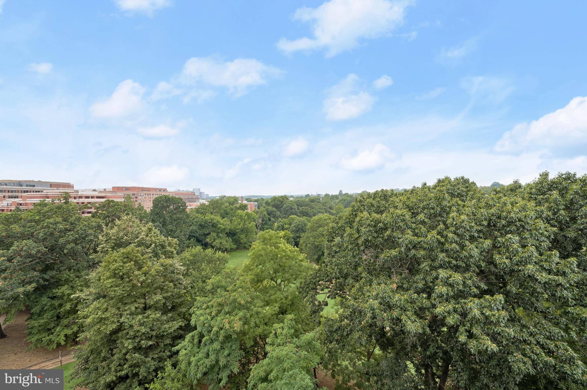 1414 22nd Street Northwest, Unit 41 Washington, DC 20037 - Photo 31 of 36 a view of a bunch of trees