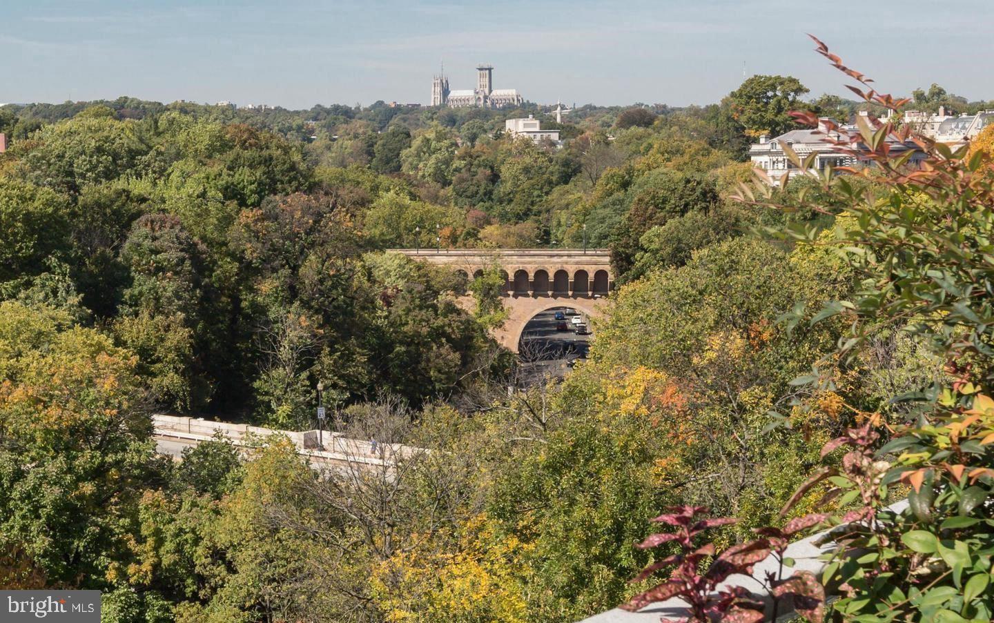 1414 22nd Street Northwest, Unit 41 Washington, DC 20037 - Photo 34 of 36 a sign of golf club on a wall under a tree