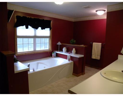 925 Logan Road Tarentum, PA 15084 - Photo 11 of 18 Master Bath/Spa. MASTER BATH WITH JET TUB, STAND ALONE SHOWER AND WALK IN CLOSET