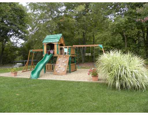 925 Logan Road Tarentum, PA 15084 - Photo 17 of 18 Land/Lot. PLAY AREA