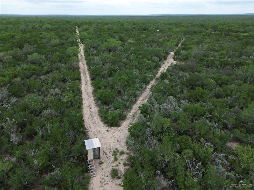 203 Los Marroquines Road Rio Grande City, TX 78582 - Photo 11 of 15