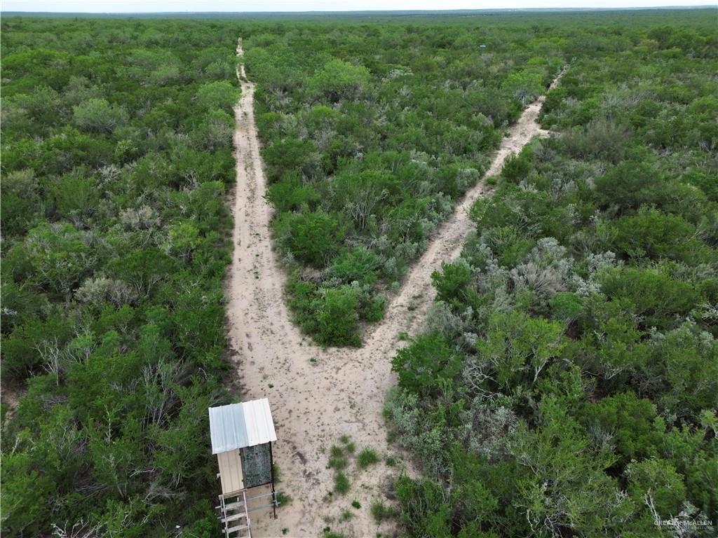 203 Los Marroquines Road Rio Grande City, TX 78582 - Photo 12 of 15