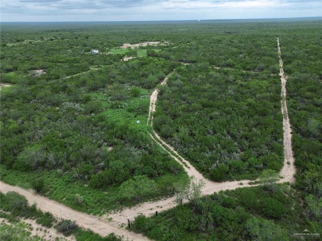 203 Los Marroquines Road Rio Grande City, TX 78582 - Photo 15 of 15