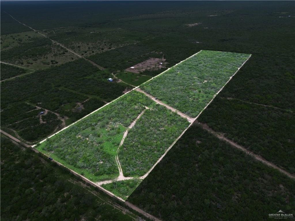 203 Los Marroquines Road Rio Grande City, TX 78582 - Photo 2 of 15