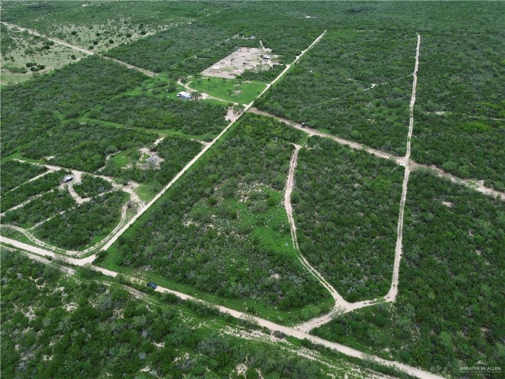 203 Los Marroquines Road Rio Grande City, TX 78582 - Photo 3 of 15
