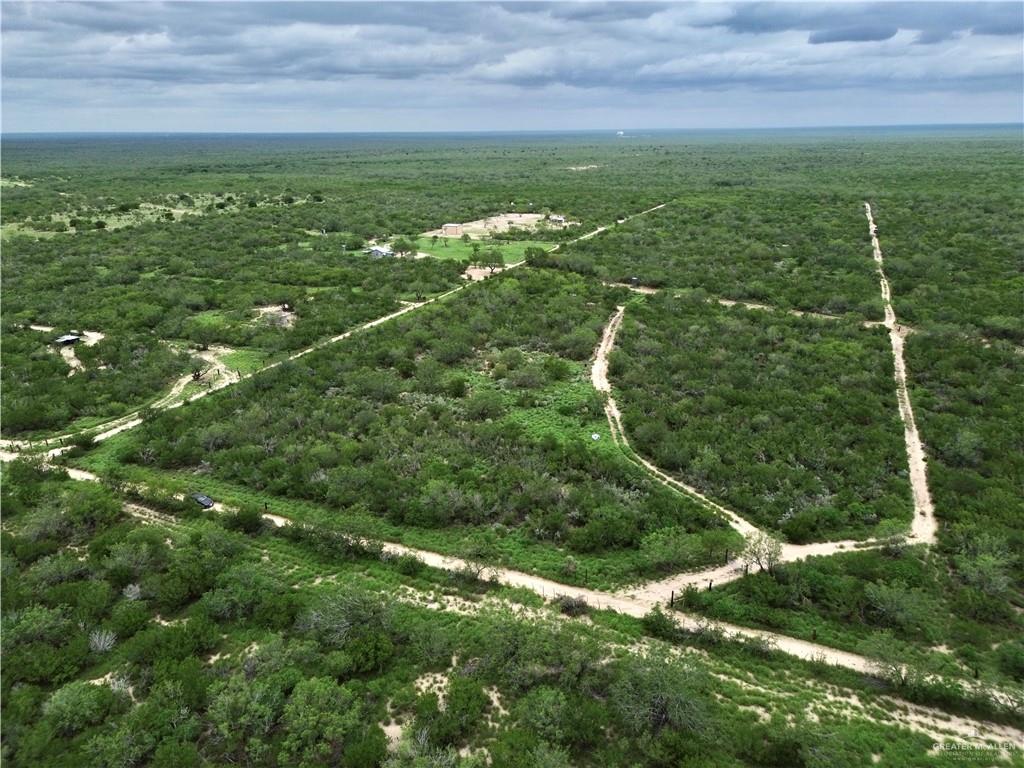 203 Los Marroquines Road Rio Grande City, TX 78582 - Photo 4 of 15