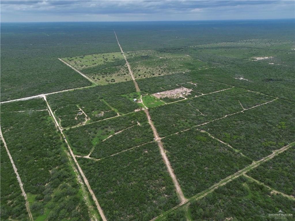 203 Los Marroquines Road Rio Grande City, TX 78582 - Photo 5 of 15