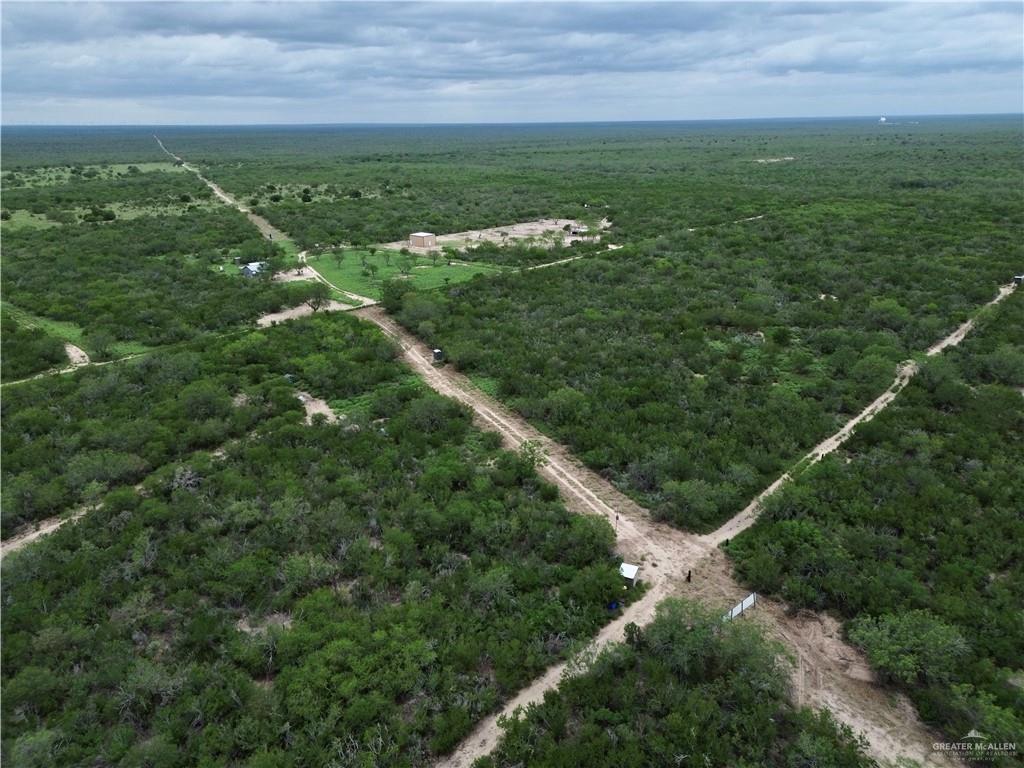 203 Los Marroquines Road Rio Grande City, TX 78582 - Photo 6 of 15