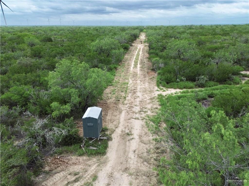203 Los Marroquines Road Rio Grande City, TX 78582 - Photo 7 of 15