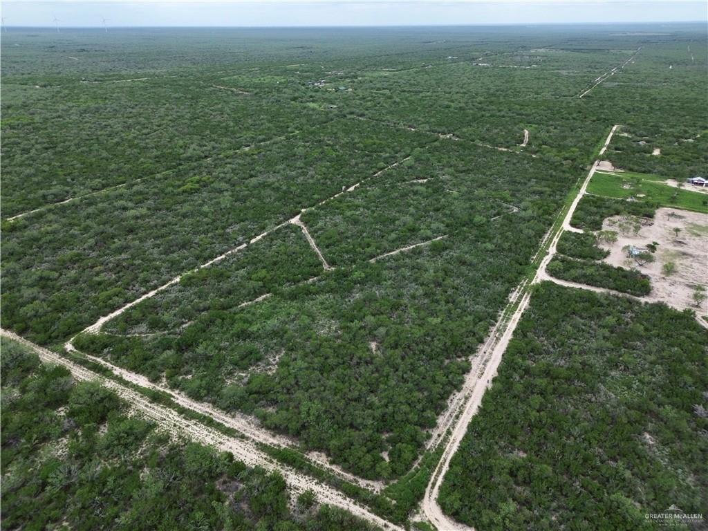 203 Los Marroquines Road Rio Grande City, TX 78582 - Photo 8 of 15