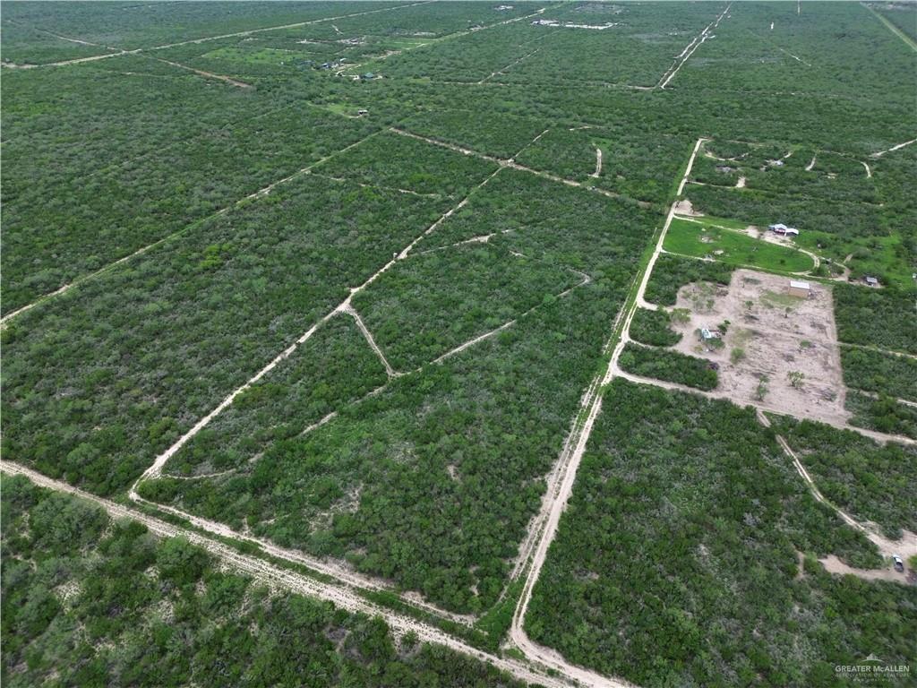 203 Los Marroquines Road Rio Grande City, TX 78582 - Photo 9 of 15