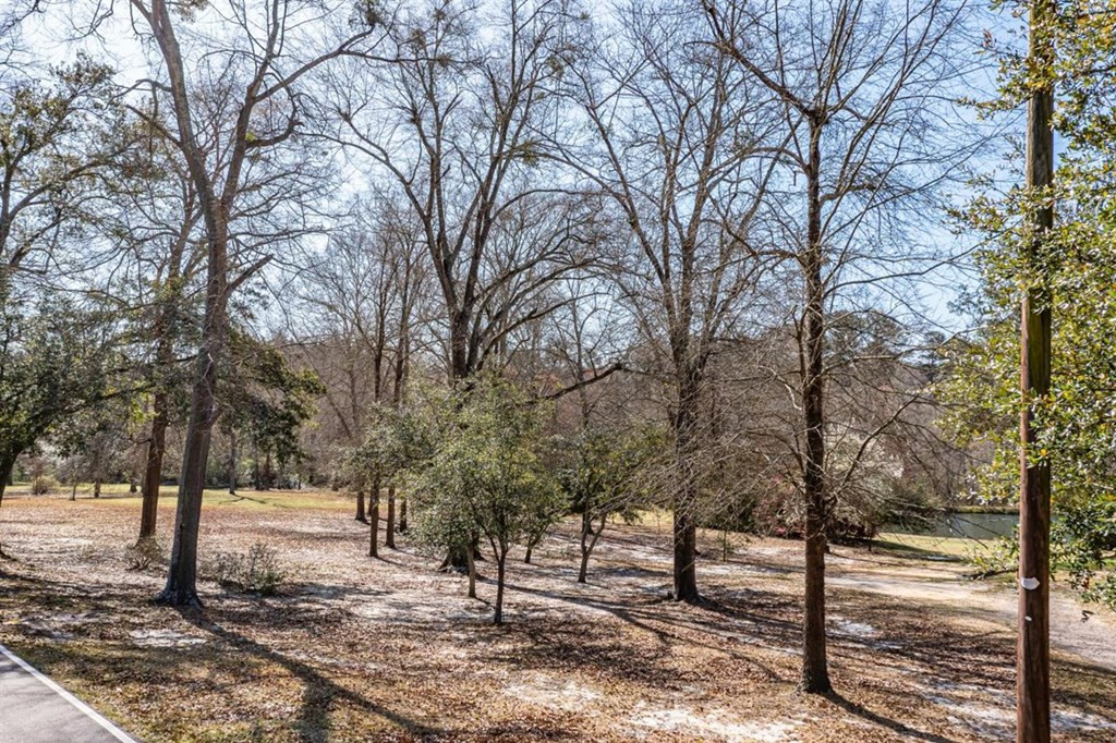263 Greenville Road Warrenville, SC 29851 - Photo 42 of 42