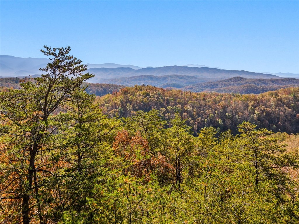16 Wesley Way Sevierville, TN 37876 - Photo 18 of 22 Gallery Image 18