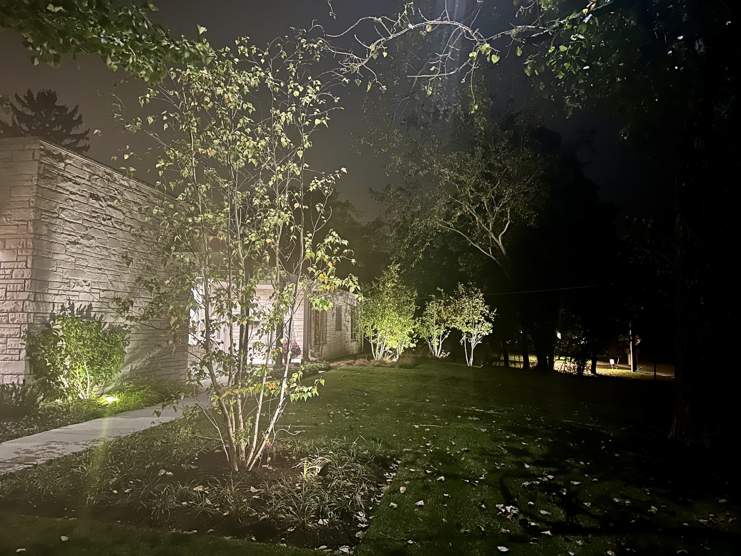 730 Sheridan Road Highland Park, IL 60035 - Photo 38 of 48 a view of yard with green space