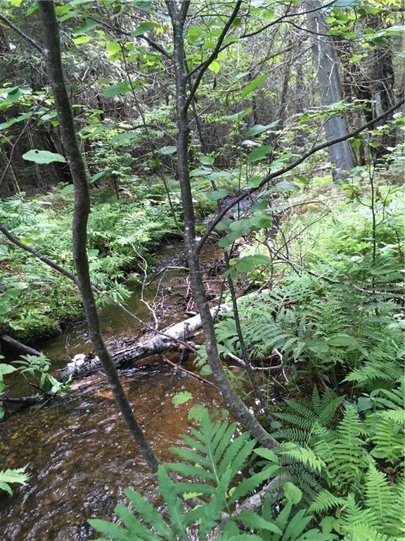 Lot 48 Woodsman Mill Road Lowell, ME 04417 - Photo 2 of 6 Photo