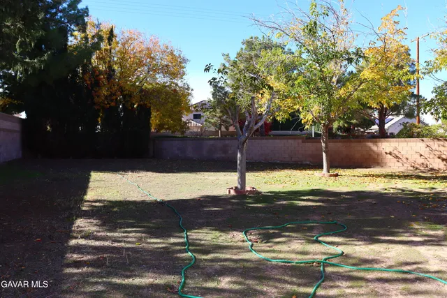 a view of a yard with an tree