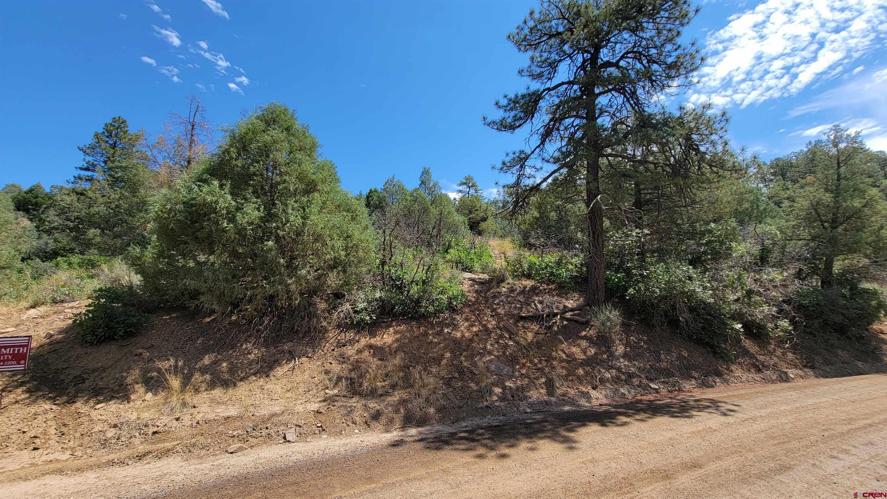 531-575 West View Road Pagosa Springs, CO 81147 - Photo 4 of 5 a view of a dry yard with trees