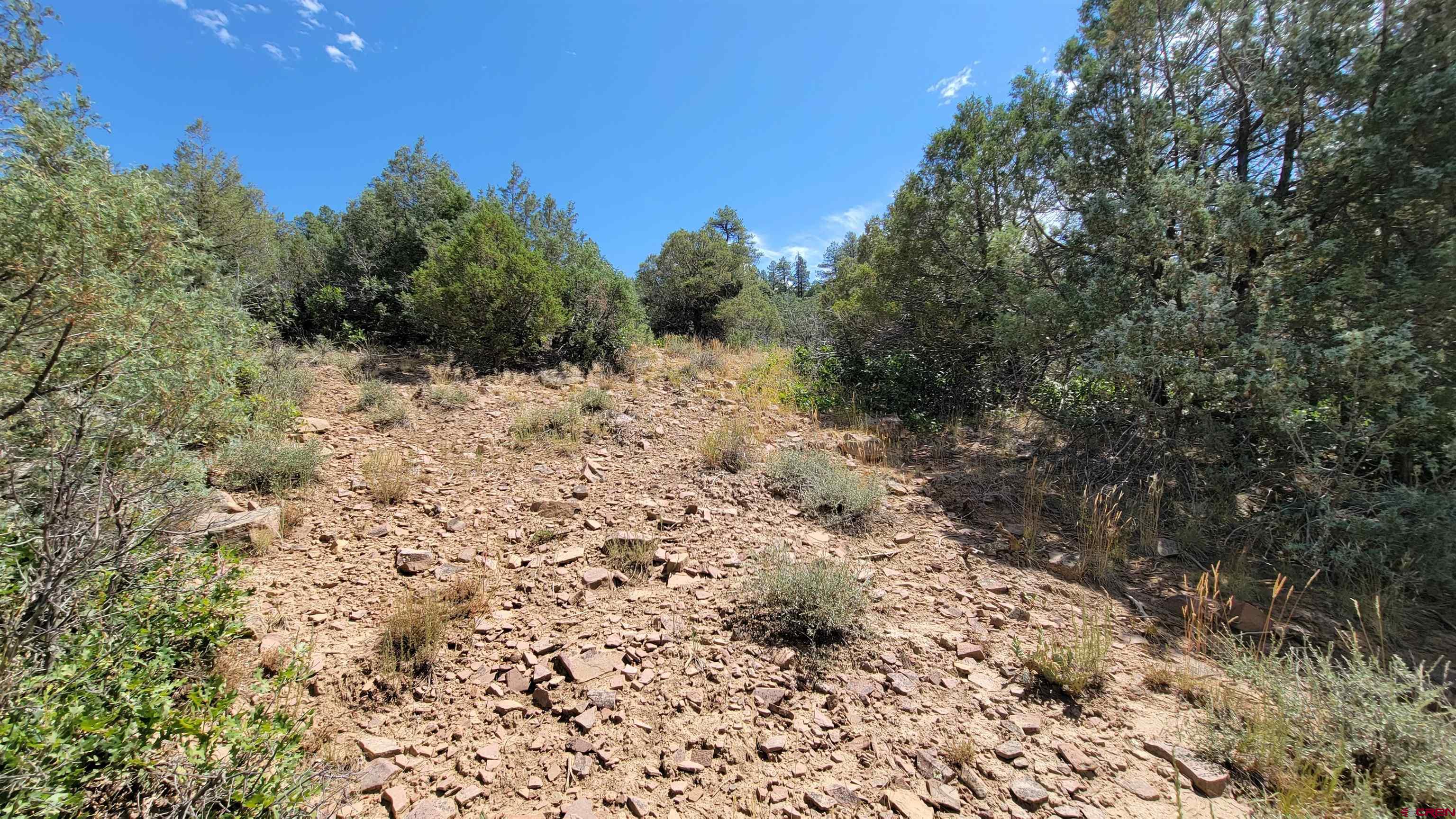 531-575 West View Road Pagosa Springs, CO 81147 - Photo 5 of 5 a view of a yard