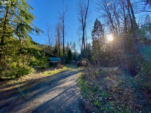 57075 North Bank Road Mckenzie Bridge, OR 97413 - Photo 22 of 26 Gallery Image 22