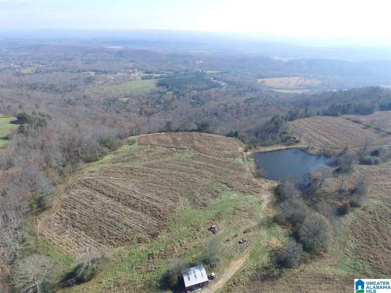 0 County Road 24, Unit 49 / ACRES Springville, AL 35146 - Photo 10 of 18