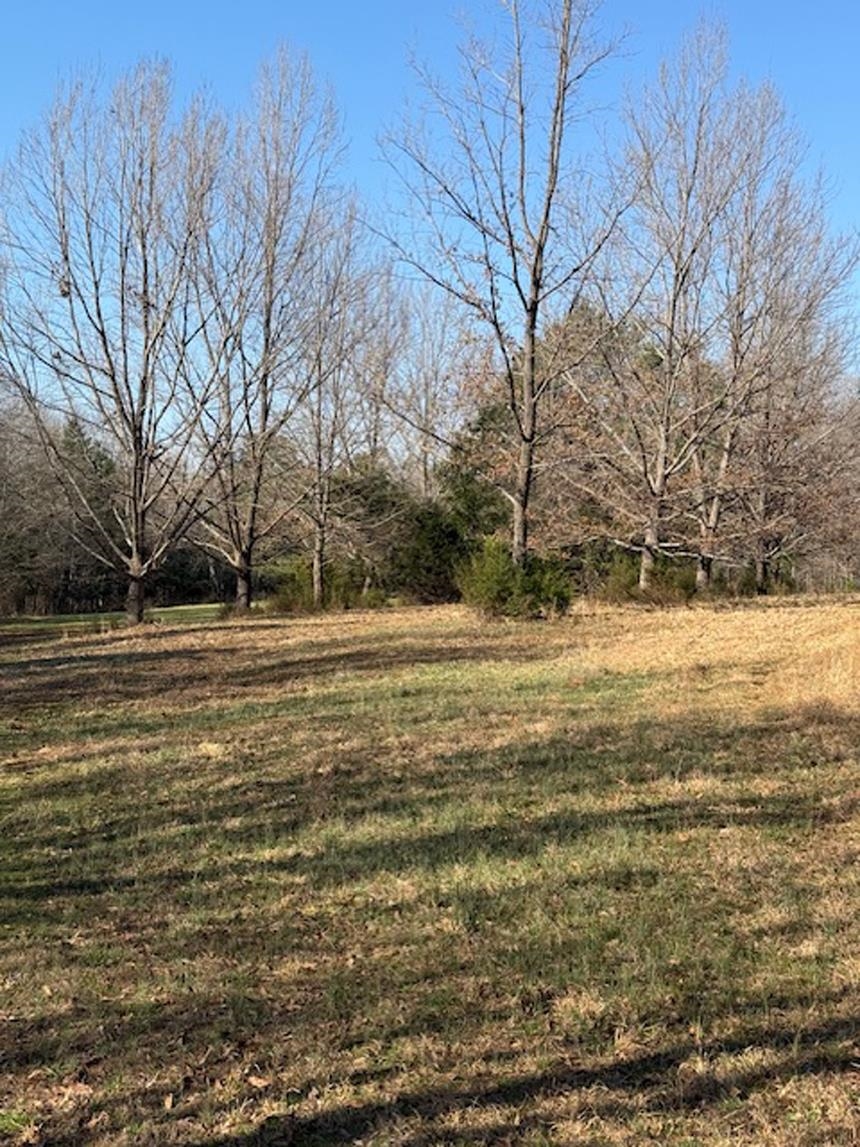 0 Hemlock Road Gaffney, SC 29340 - Photo 15 of 44 Gallery Image 15
