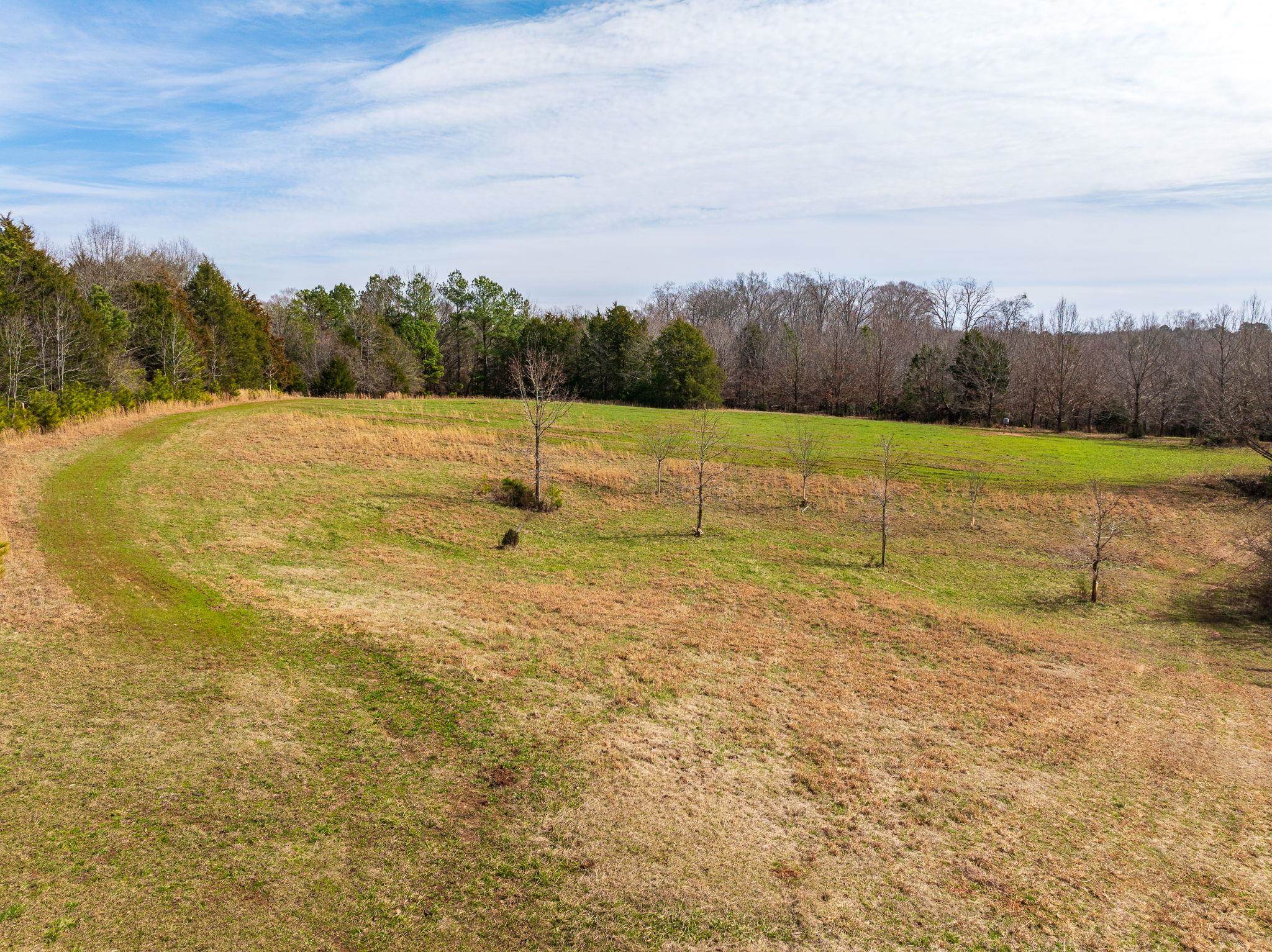 0 Hemlock Road Gaffney, SC 29340 - Photo 27 of 44 Gallery Image 27