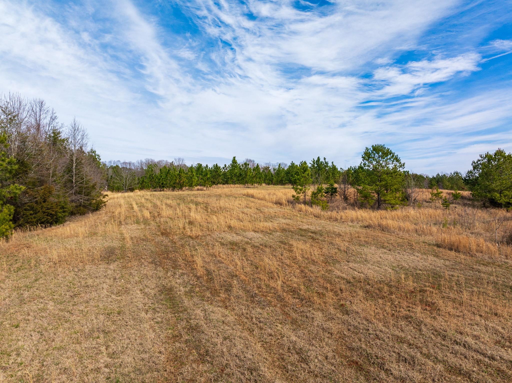 0 Hemlock Road Gaffney, SC 29340 - Photo 31 of 44 Gallery Image 31