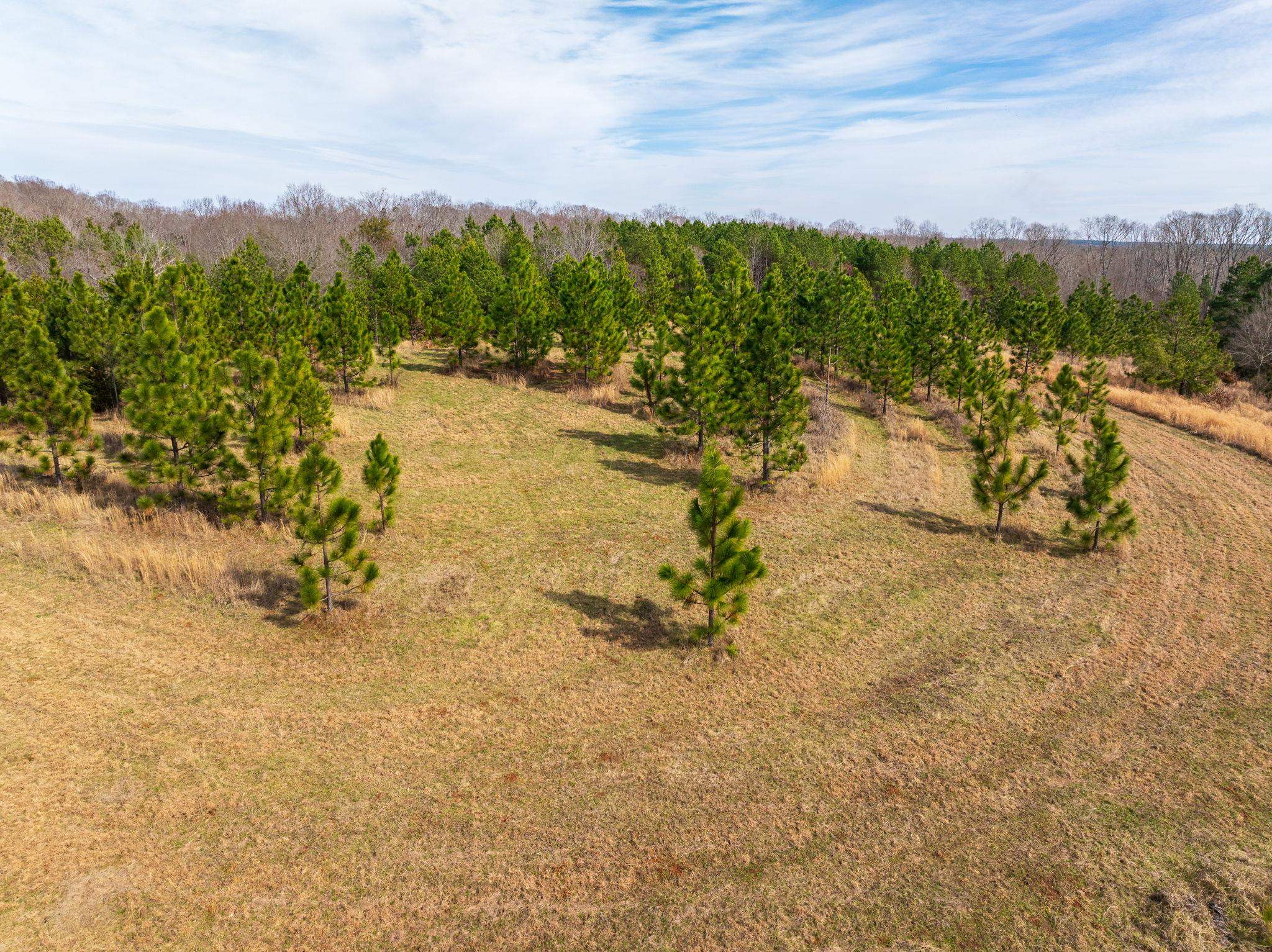 0 Hemlock Road Gaffney, SC 29340 - Photo 32 of 44 Gallery Image 32