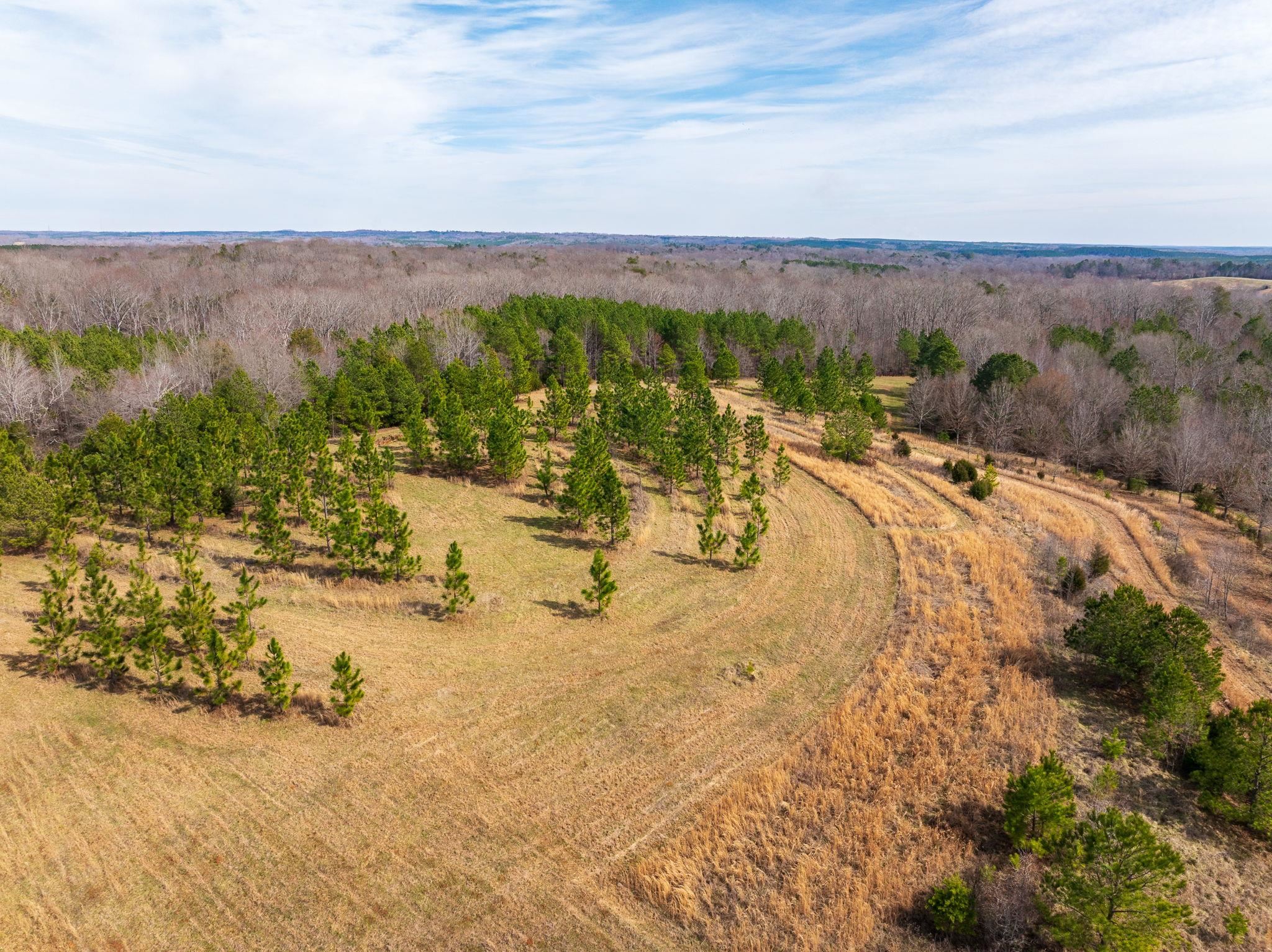 0 Hemlock Road Gaffney, SC 29340 - Photo 33 of 44 Gallery Image 33