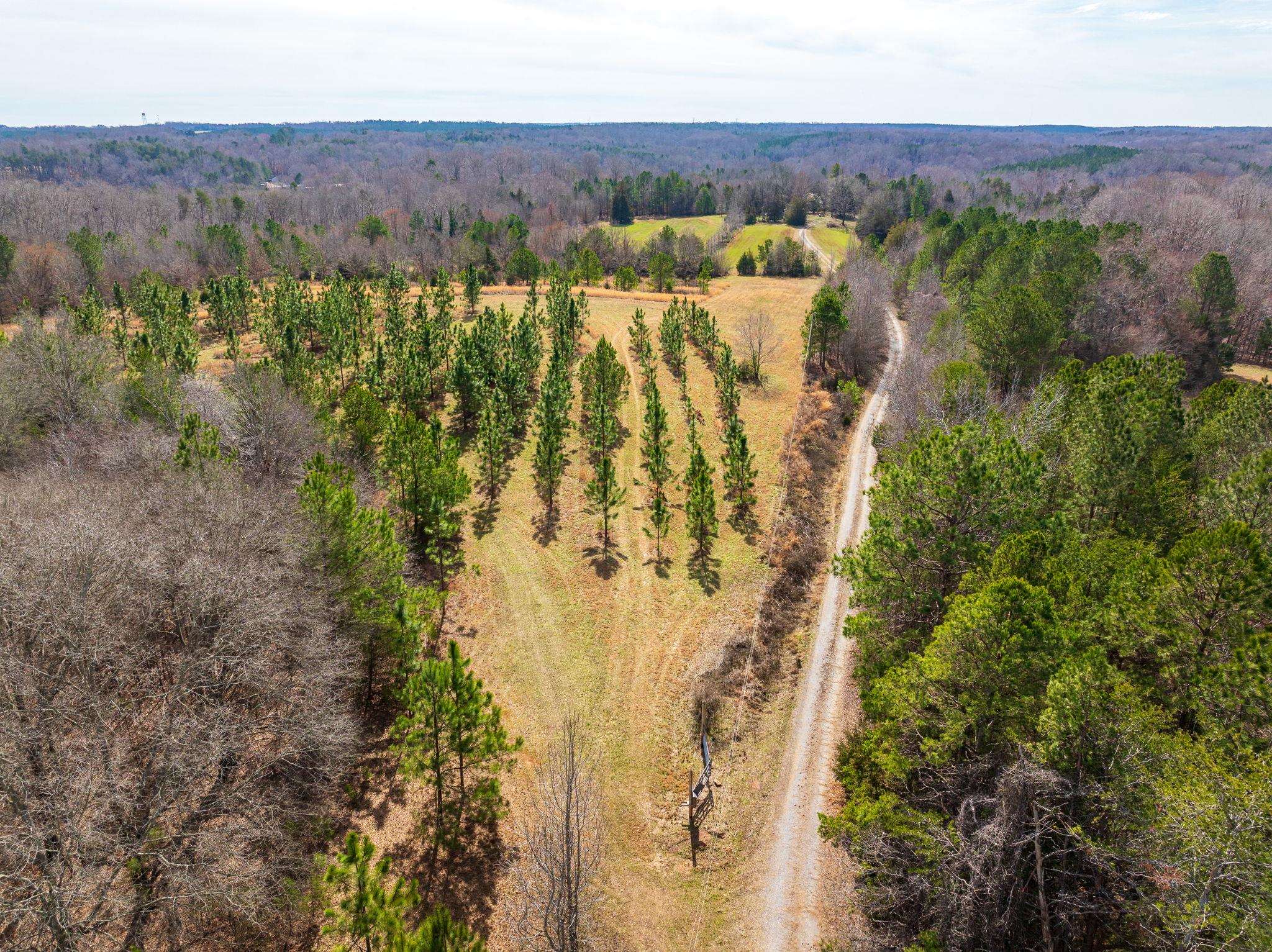0 Hemlock Road Gaffney, SC 29340 - Photo 34 of 44 Gallery Image 34