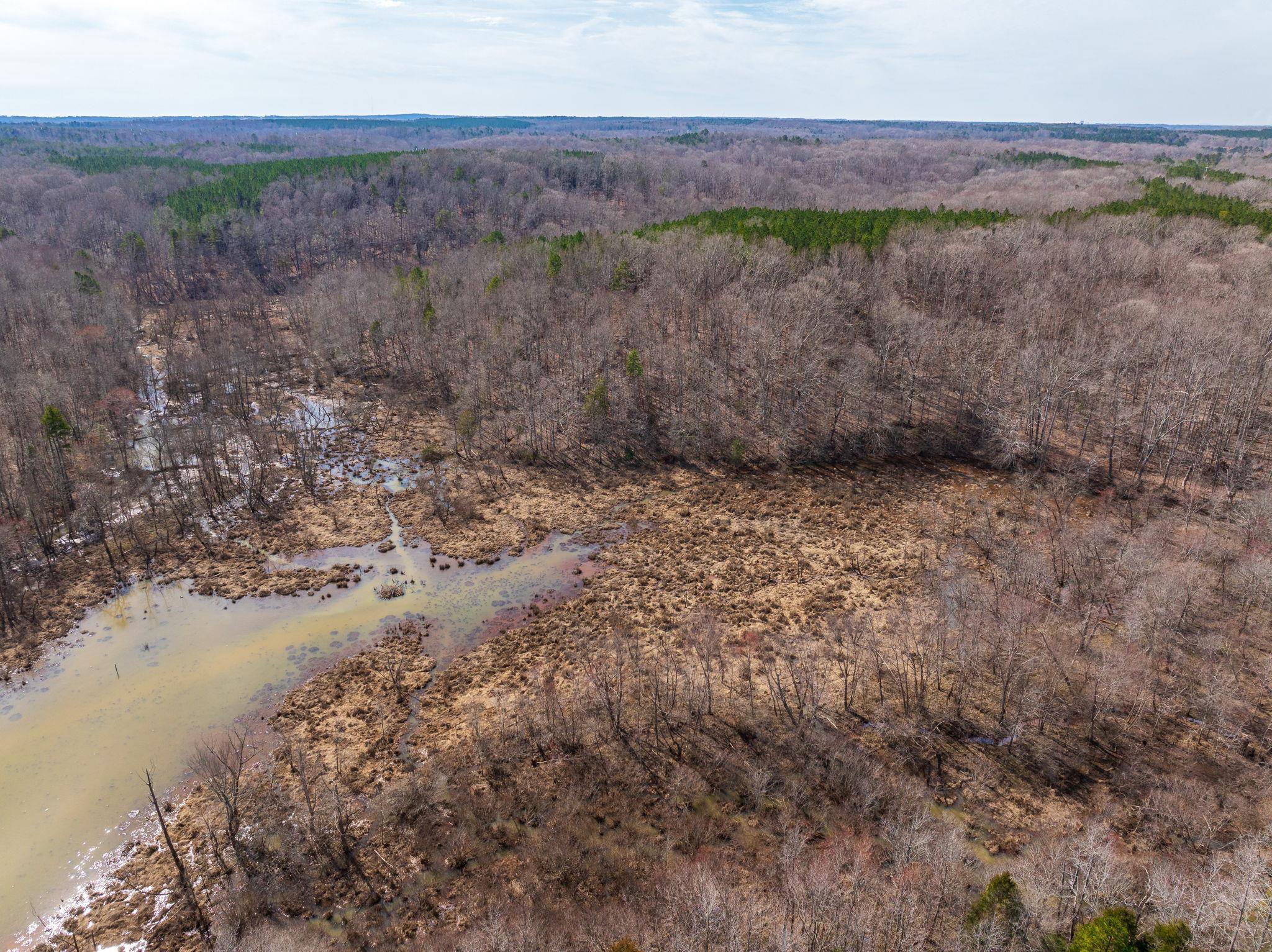 0 Hemlock Road Gaffney, SC 29340 - Photo 41 of 44 Gallery Image 41