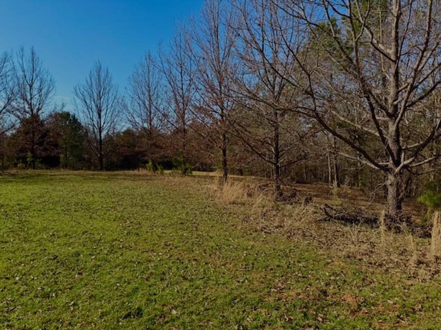 0 Hemlock Road Gaffney, SC 29340 - Photo 8 of 44 Gallery Image 8