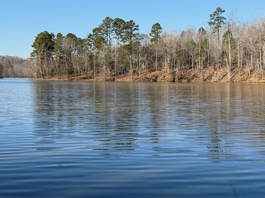 0 Hemlock Road Gaffney, SC 29340 - Photo 10 of 44 Gallery Image 10