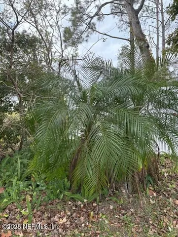 a view of a field with trees in the background