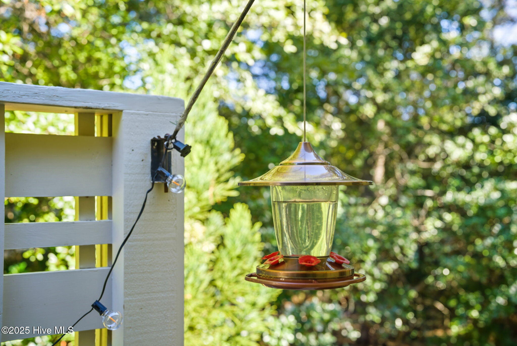 110 McLean Road Pinehurst, NC 28374 - Photo 56 of 71 110 McLean Road-64