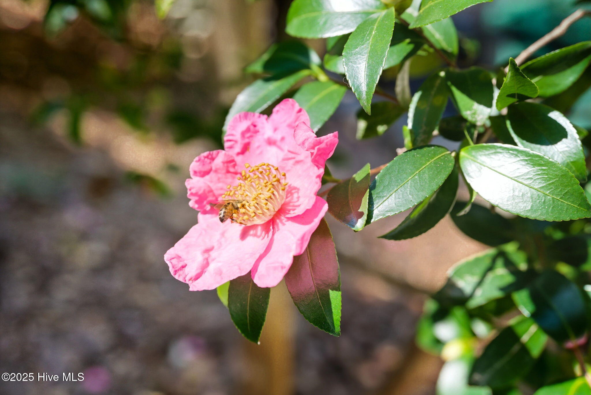 110 McLean Road Pinehurst, NC 28374 - Photo 58 of 71 110 McLean Road-8