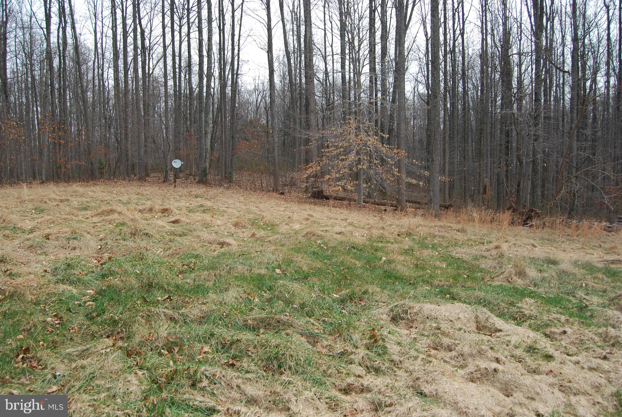 23868 New Mountain Road Aldie, VA 20105 - Photo 26 of 26 Exterior (Rear)
