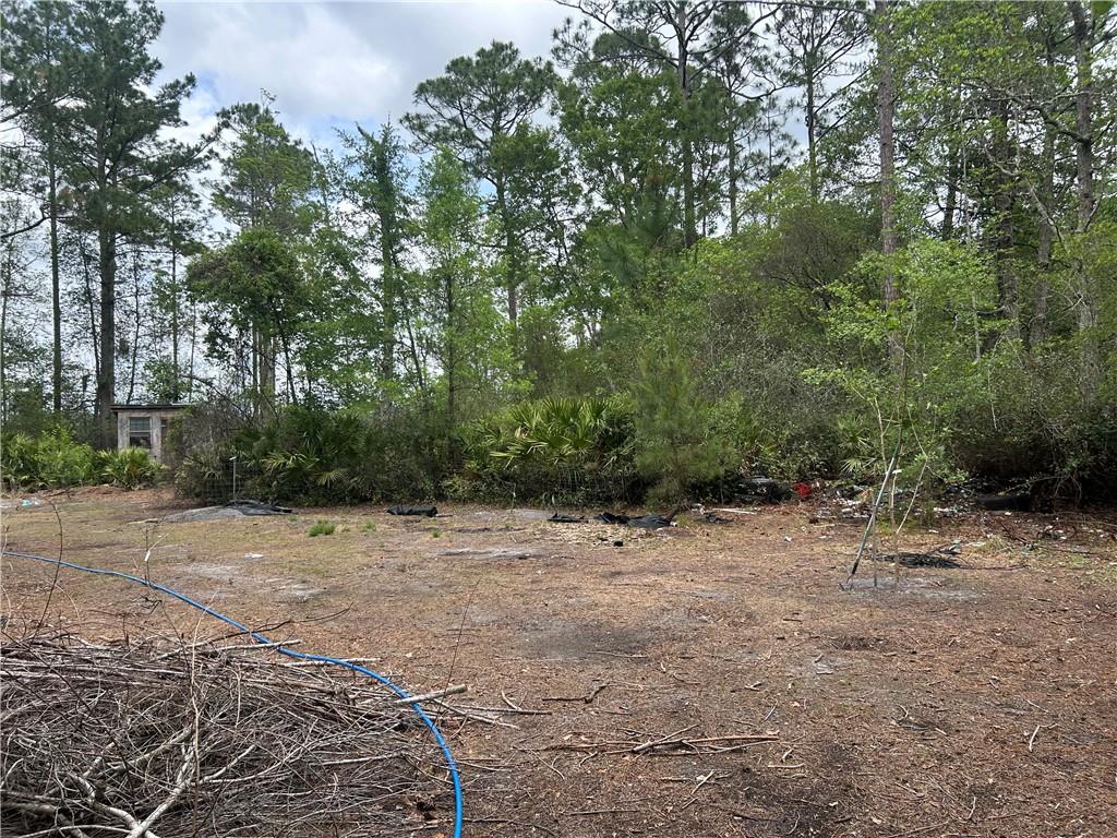 114 Jones Road Hortense, GA 31543 - Photo 18 of 25 a backyard of a house with lots of green space