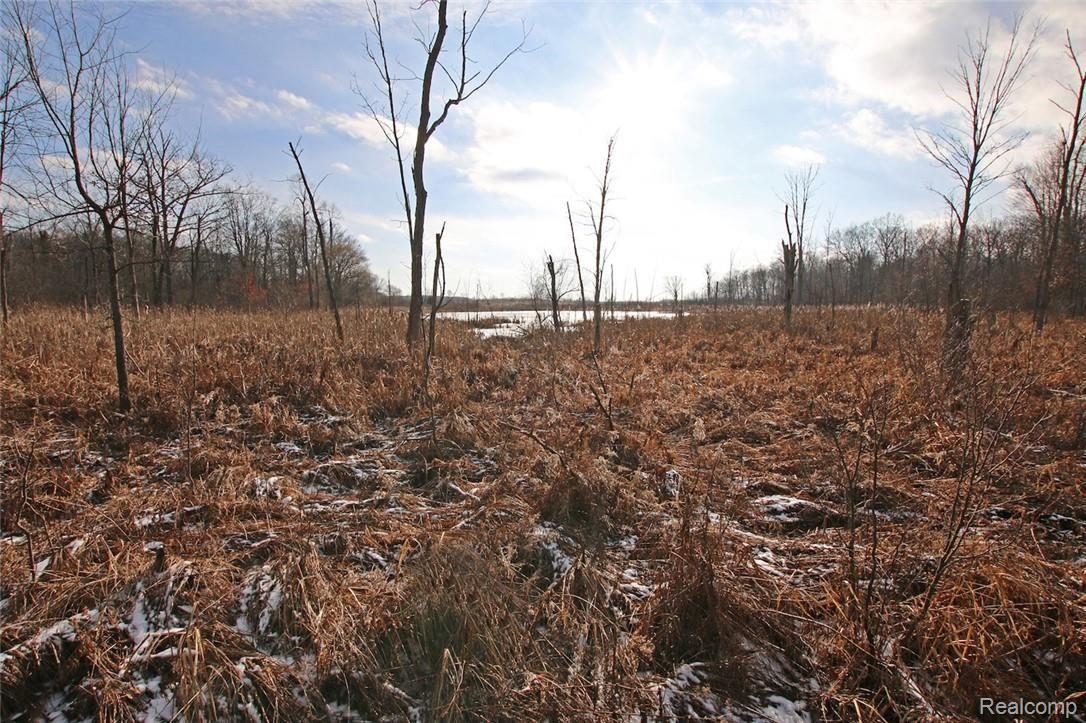12254 Hill Road Goodrich, MI 48438 - Photo 47 of 52 47) Pond.jpg