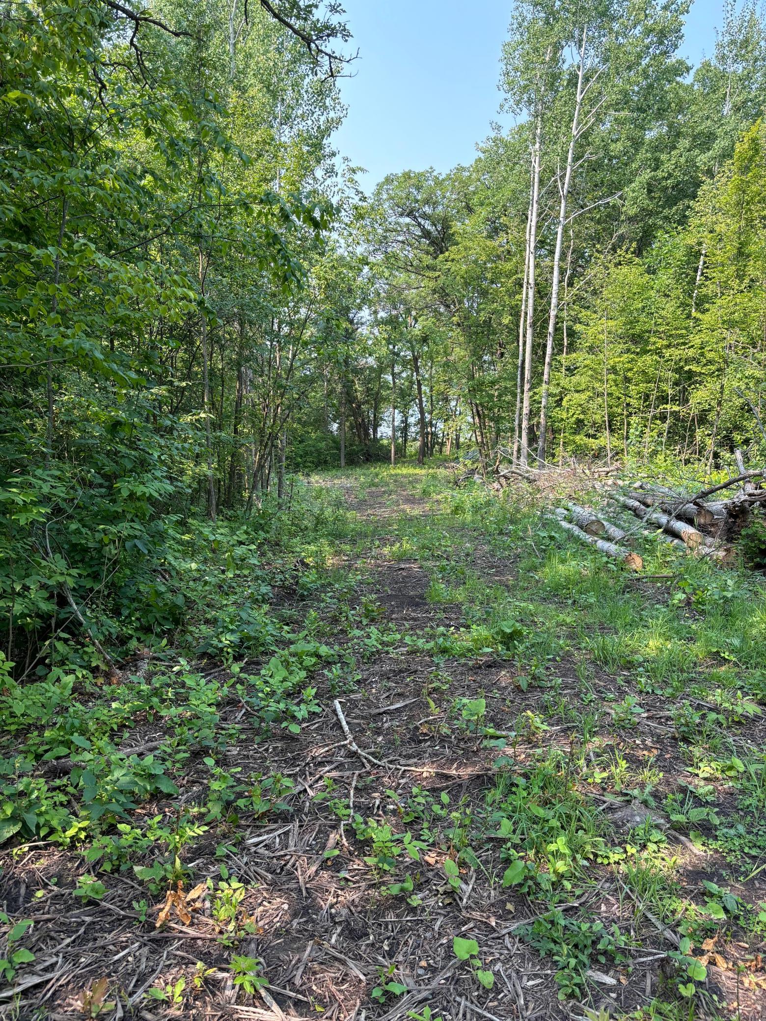 1246 Island Lake Road Lengby, MN 56651 - Photo 5 of 14