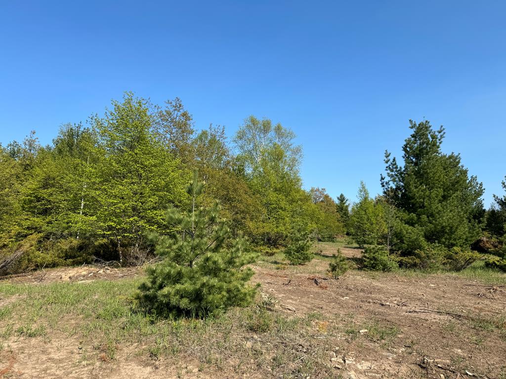 Lot 3 Division Road Egg Harbor, WI 54209 - Photo 9 of 11