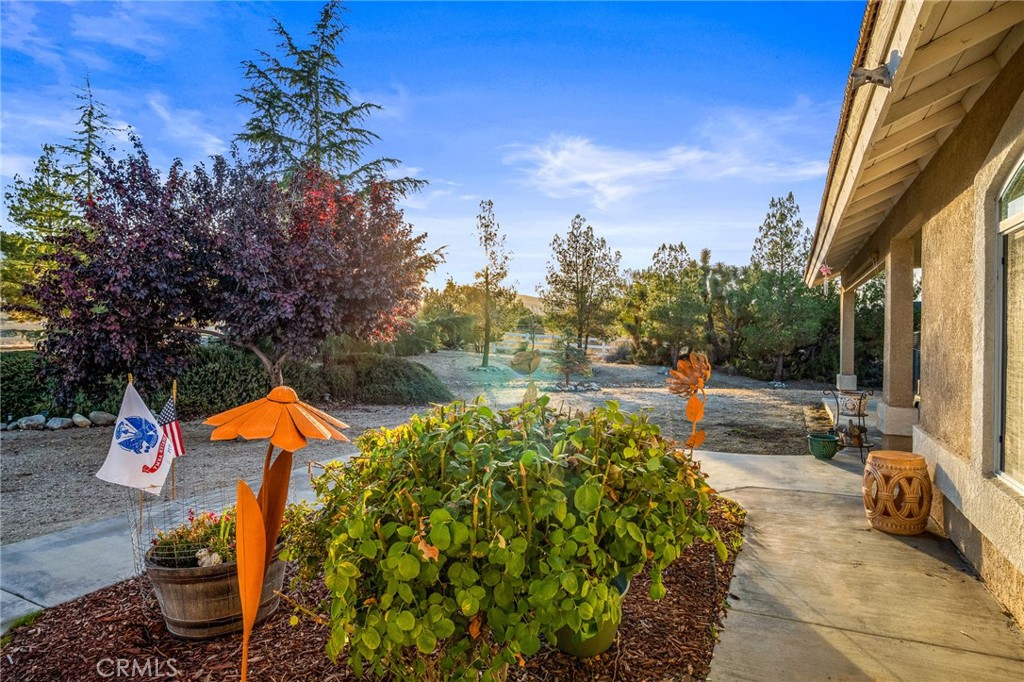 388 Calaveras Road Pinon Hills, CA 92372 - Photo 29 of 44 a backyard of a house with large trees and outdoor seating