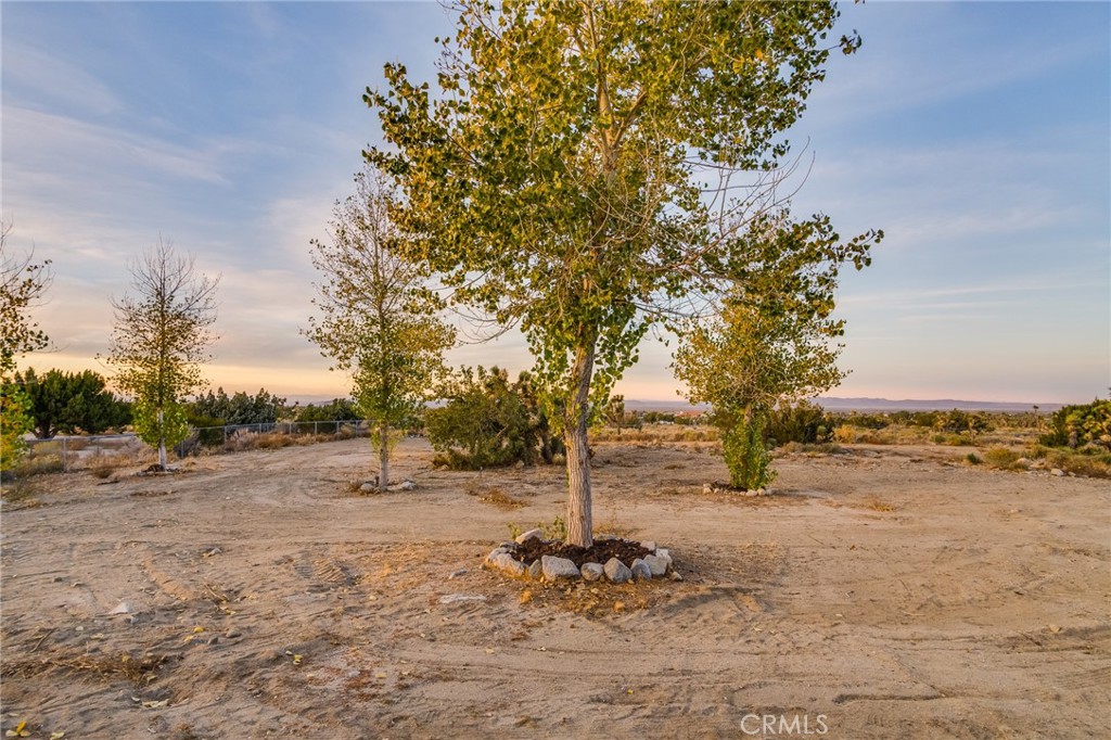 388 Calaveras Road Pinon Hills, CA 92372 - Photo 31 of 44 a backyard of a house with lots of green space