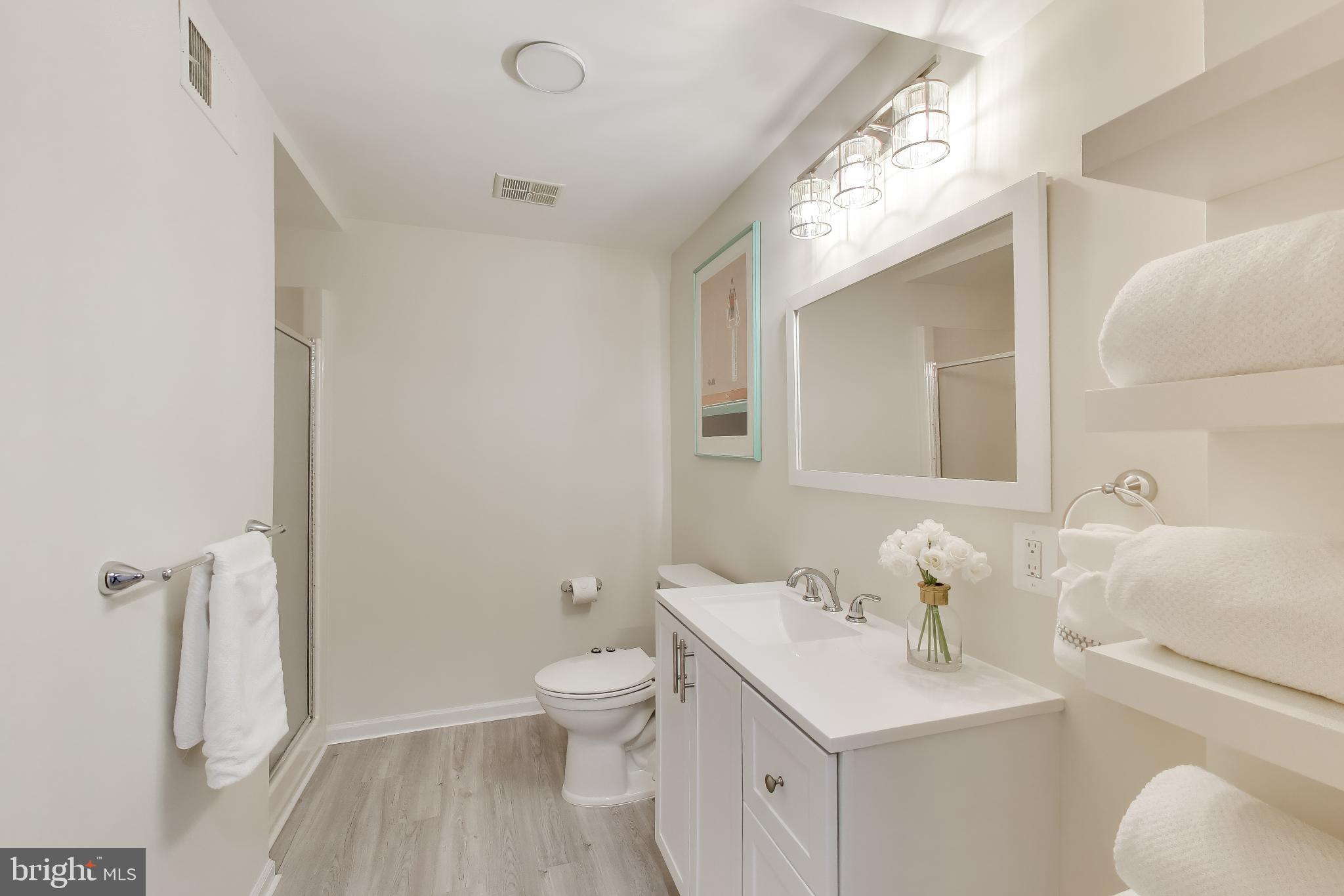 10150 Red Spruce Road Fairfax, VA 22032 - Photo 44 of 70 Lower Level Updated Full Bathroom